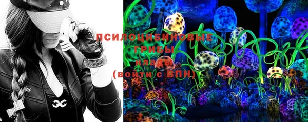 мяу мяу кристалл Арсеньев