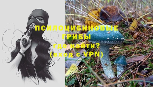 метадон Армянск
