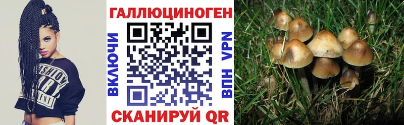 Галлюциногенные грибы MAGIC MUSHROOMS  Сибай 
